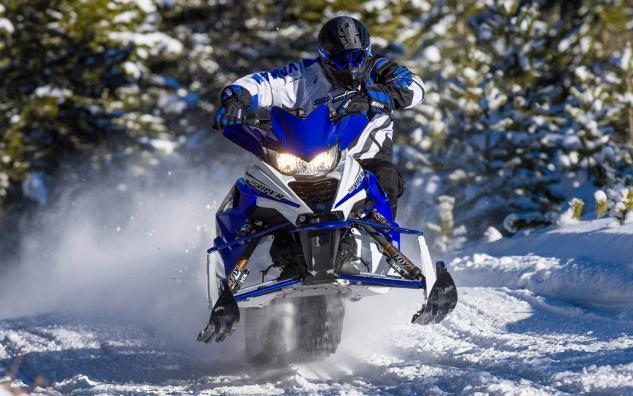 шейна под наем